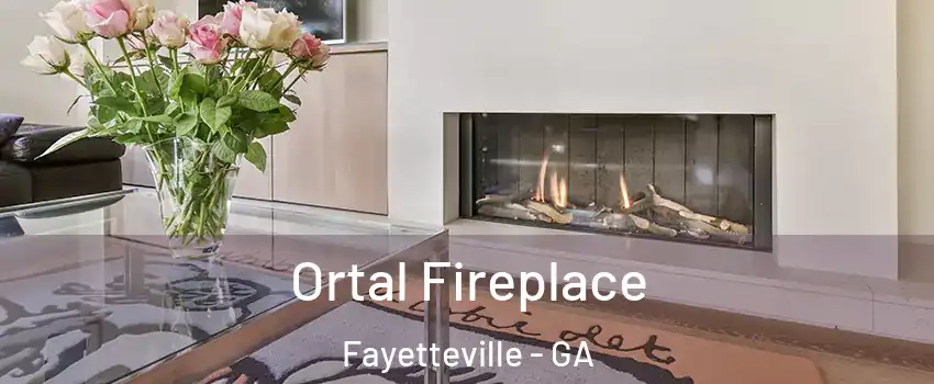  Ortal Fireplace Fayetteville - GA